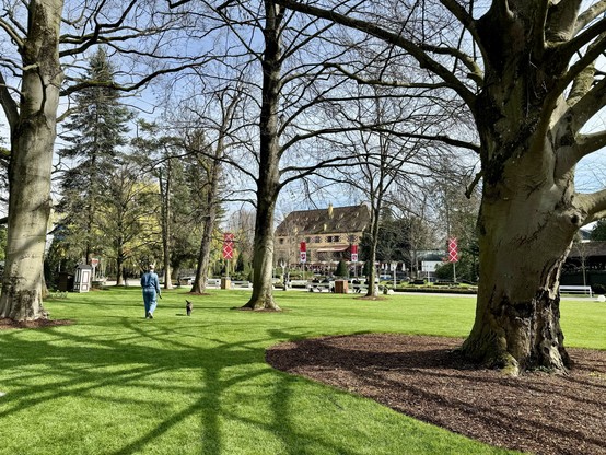 A person walking a dog in a park on a sunny day with trees around and a traditional building in the background. Background looks like a german castle 