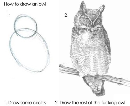 The image displays a humorous two-step guide titled "How to draw an owl." The first step shows a simple drawing of two overlapping circles meant to form the basic shape of an owl. The second step displays a highly detailed and realistic drawing of a complete owl perched on a branch. Below each step, there are captions that mockingly oversimplify the drawing process: "1. Draw some circles" and "2. Draw the rest of the fucking owl"