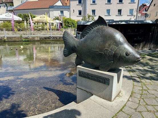 Bronze fish sculpture on a pedestal near a clear shallow river with buildings and a patio with umbrellas in the background.