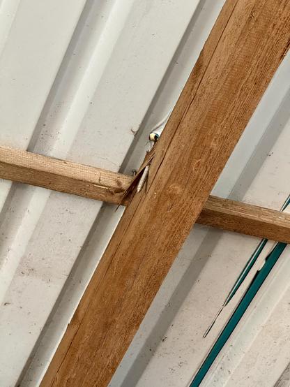 A screw that was actually supposed to be fastened to a wooden beam to hold the roof barely hits the beam. As a result, nothing holds.
